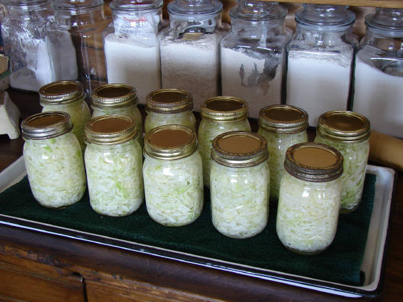 kraut jars